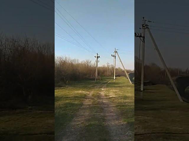 1 апреля 2023 г.