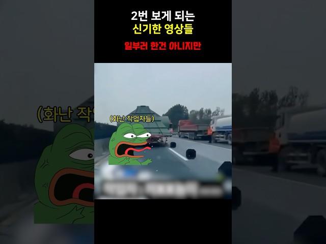 2번 보게 되는 신기한 영상들???