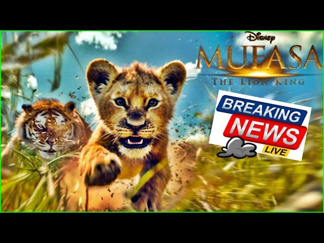 Mufasa o rei Leão Novo filme de ação Aventura Vai ter Inicio Nada Atrativo