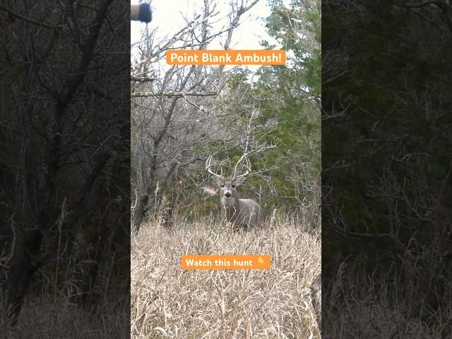 Up close at ground level! Bow Hunting the Rut