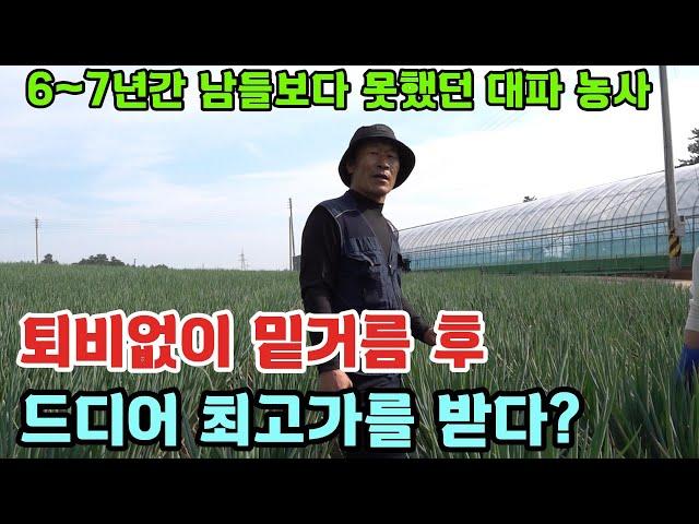 항상 남들보다 못했던 농사, 퇴비없이 밑거름 후 드디어 최고가를 받다?