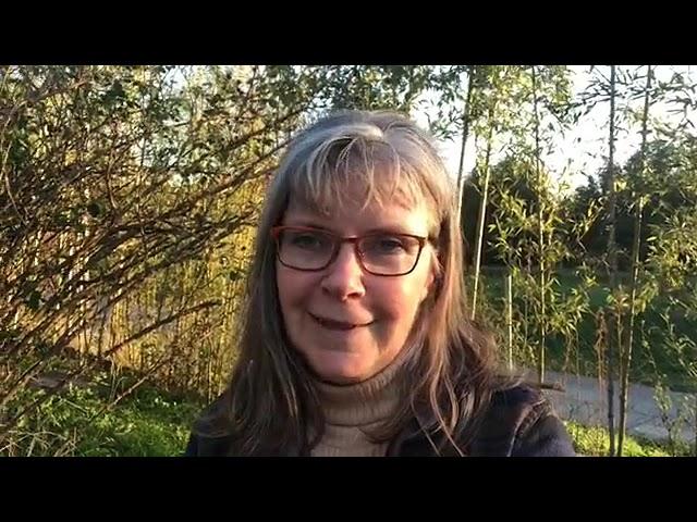 Heizen mit Gas in Ungarn - Wie hoch sind die Kosten? Ab wann zahlst du den 7-fachen Preis?