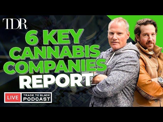 Cannabis Stocks CEOs - SNDL + NewLake Capital