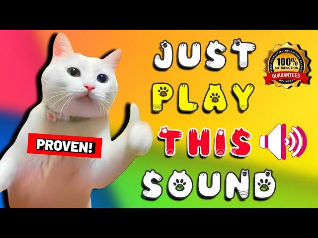 Mommy cat calling for her kittens sounds to attract cats  Mother cat sounds