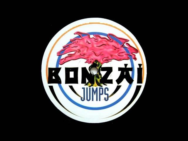 Oldschool Bonzai Jumps Compilation Mix by Dj Djero