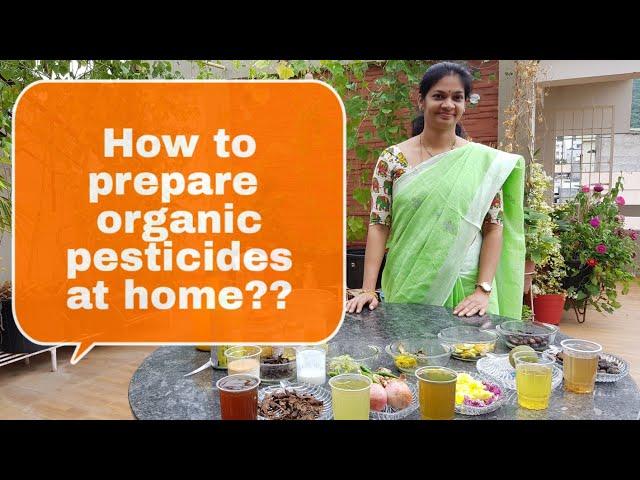 How to prepare organic pesticides at home?ఇంట్లోనే ఆర్గానిక్  పురుగుల మందులు తయారు చేసుకోవడం ఎలా?diy