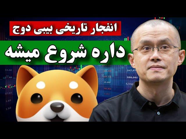 فوووری  آغاز انفجار تاریخی بیبی دوج / بیبی دوج کوین بالاخره بیدار شد