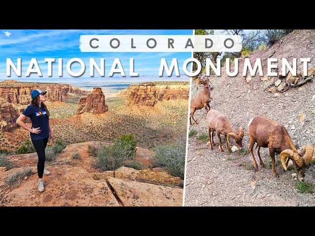 COLORADO NATIONAL MONUMENT | Awesome SHORT HIKES with Incredible VIEWS & WILDLIFE