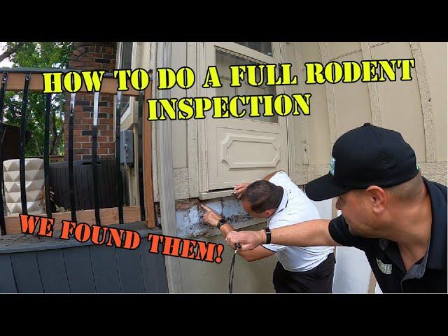 How to do a mouse or rat inspection on a home. #mouse #pestcontrolguys