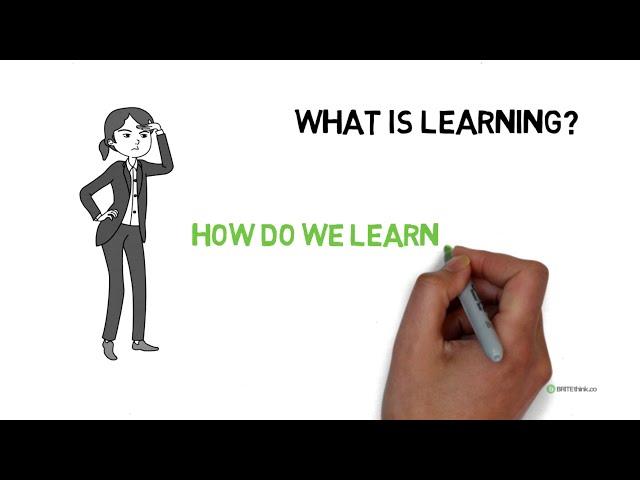 Learning and development, Learning Styles by Britethink