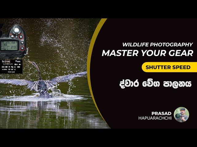 Understanding Shutter Speed