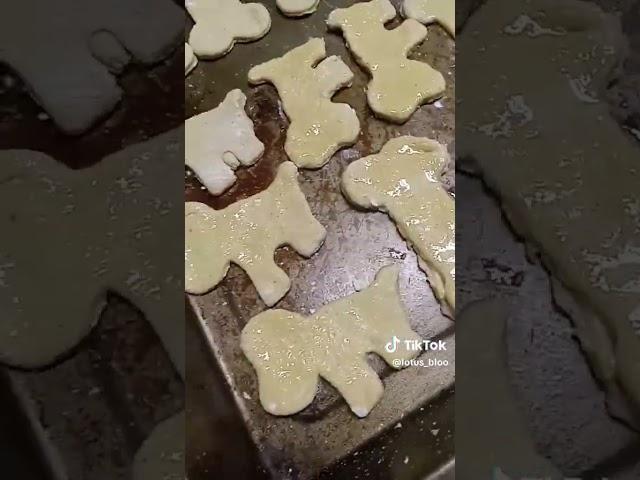 Pawsome DIY Dog Treats: Easy & Healthy! #homemadedogtreats #dogtreats #doglover #dogwalker #dogtrain