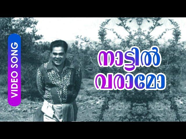 Naattil Varaamo... | Malayalam Old Comedy Song | Sarppakkaadu | Ft.Adoor Bhasi, Sukumari