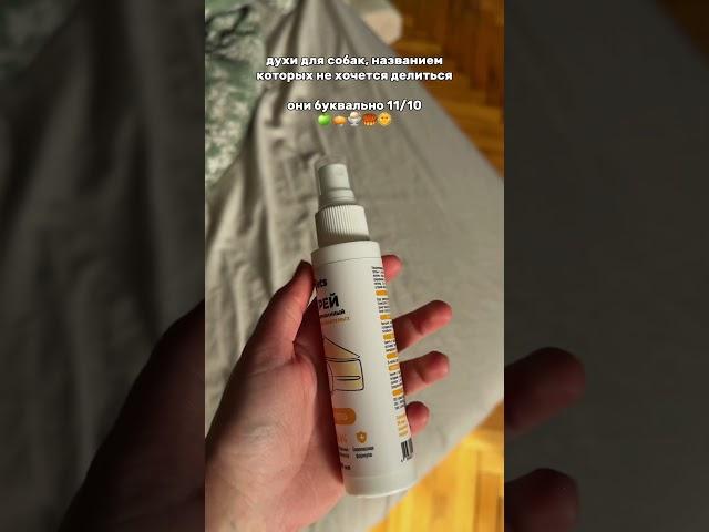 ими правда не хочется делиться #арт на духи #395942176 #чихкахуа#духидлясобак#духи#парфюм