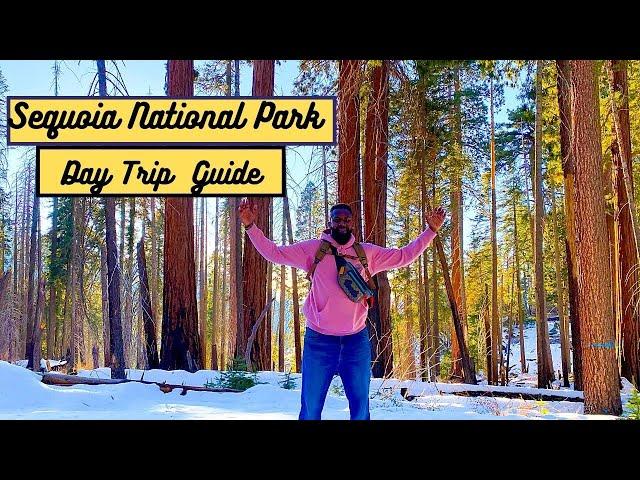 Sequoia National Park: Day Trip Travel Guide (Things to do and see)