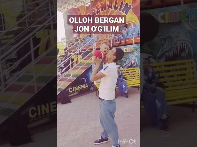 OLLOH BERGAN JON  O'G'ILIM