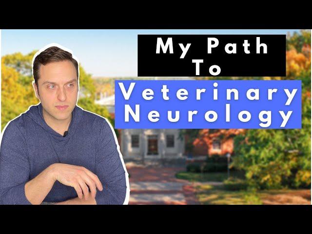 How I Became a Veterinary Neurologist