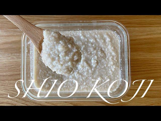 How to make SHIO KOJI - Japanese fermented condiment  - Japanese Mum Cooking