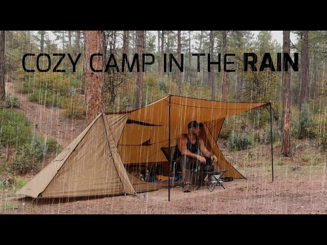 Solo Camping in Rain, Relaxing In Tent Shelter with My Dog, ASMR