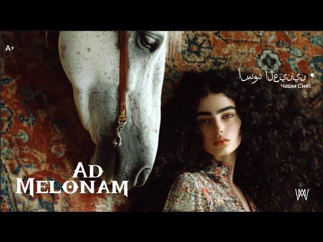 Чашм сиях (ad) - by Melonam (official music video with lyrics) #melonam