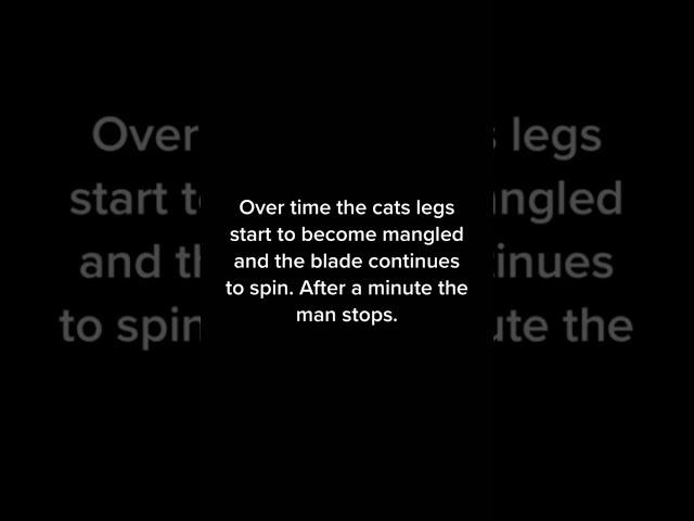 Cat in the blender full video explained... #shorts