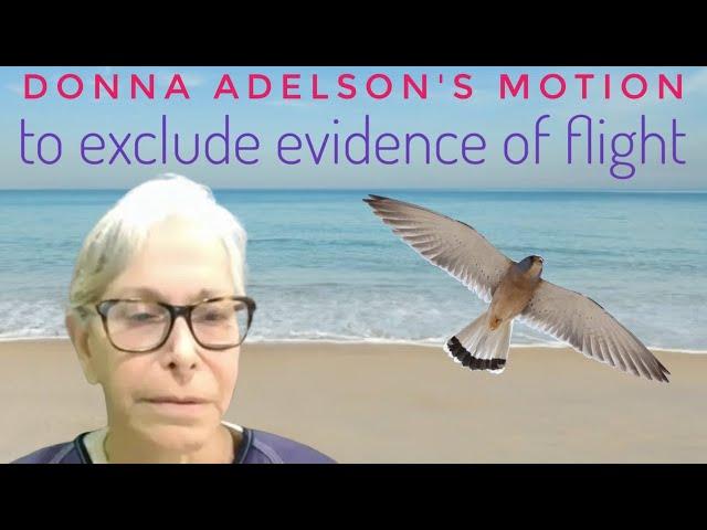 Donna Adelson Wants to Exclude Evidence of her Flight to Vietnam - Quick Summary & Commentary