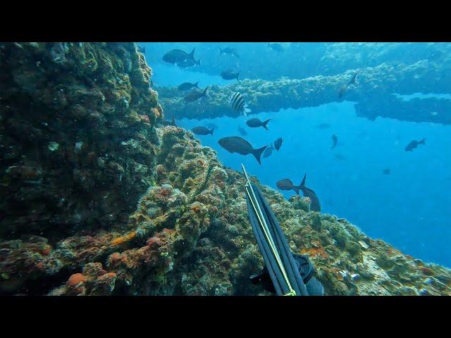 Spearfishing Deep Offshore Oil Rigs for Tropical Reef Fish || Ep. 1 2023 Season || Gulf of Mexico