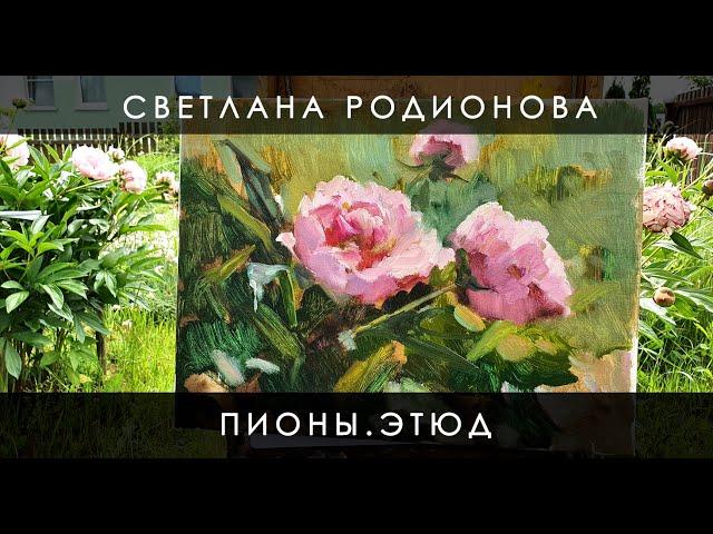 Пионы. Этюд. Живопись маслом