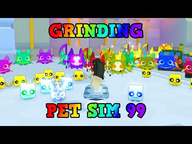 Grinding Pet Sim 99! (Roblox)