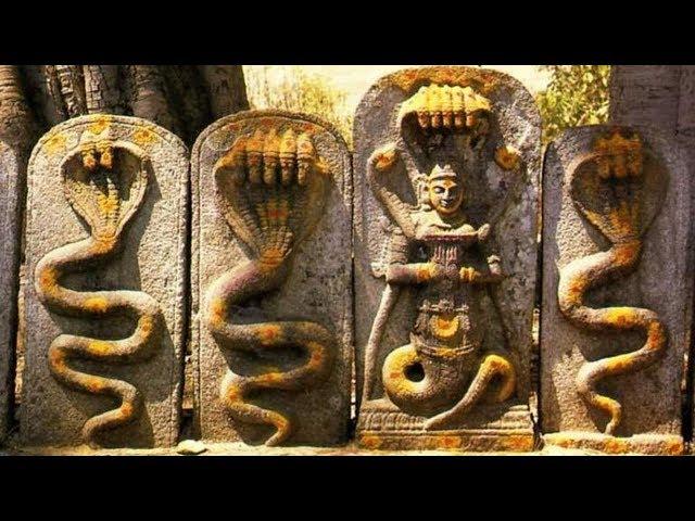 Nag Panchami | Vasuki (Snake) Gayatri Mantra - Powerful Mantra To Remove Naga & Kala Sarpa Dosha