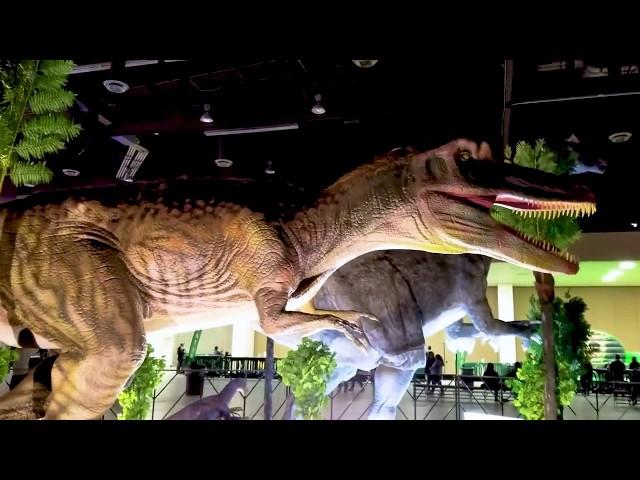 Petting Dinosaurs ! Dino Adventure Jurassic Quest Vlog Video