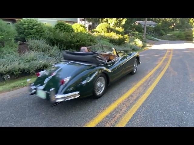 1955 Jaguar XK140 Driving