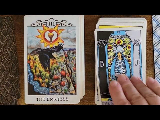 Learn Tarot:  The Crow Tarot by MJ Cullinane  - Book Reading  #learntarot #crowtarot #thecrowtarot