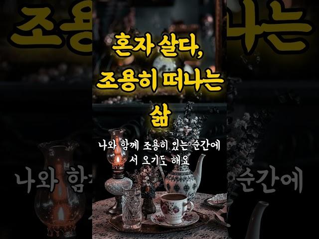 혼자 살다 조용히 떠나는 삶이 주는 마지막 선물  인생조언 명언 철학 삶의지혜 좋은글 인간관계 중년의삶 인생명언 중년명언 인간관계 오디오북 인생명언#명언#좋은글 #중년조언#지혜