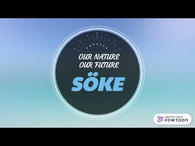 Introduction of SÖKE as a project activity