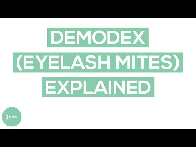 Demodex Eyelash Mites | Eyelash Mite Causes, Symptoms, and Treatments