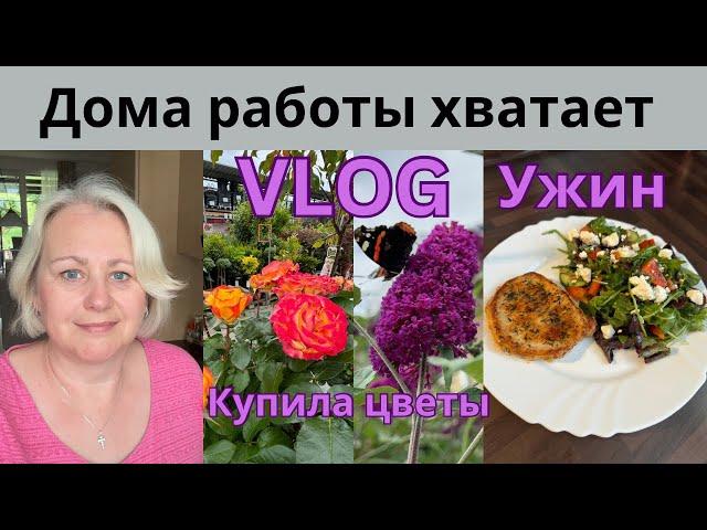 VLOGДождливая погода/Духовка сама очищается/Выбираю цветы в магазине/Быстрый ужин