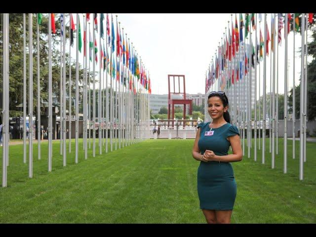 United Nations Immersion Programme