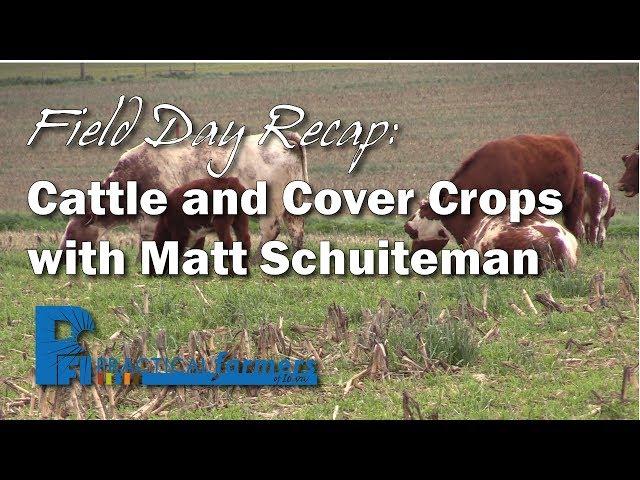 Field Day Recap: Cattle and Cover Crops