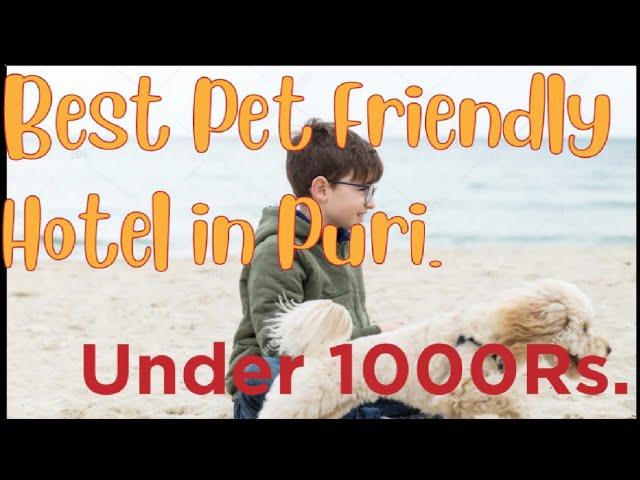 Best Pet Friendly Hotel in Puri Under 1000 Rs.