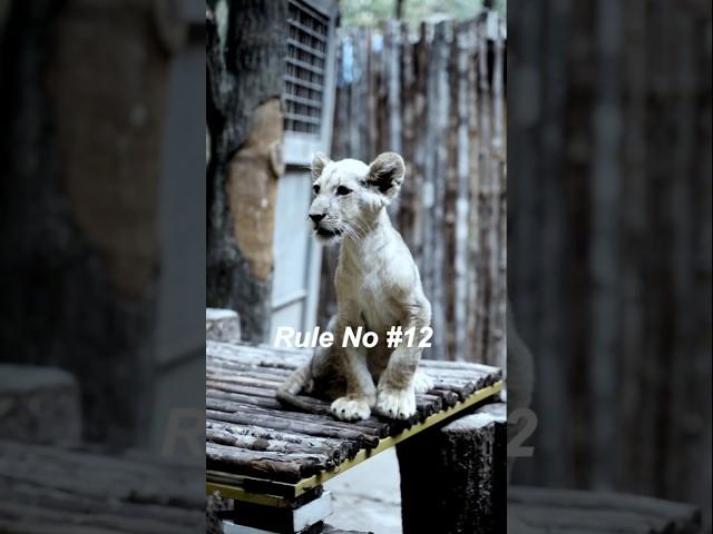 Rule #12: Learn to Say NO – Protect Your Peace #motivation #shorts #peace