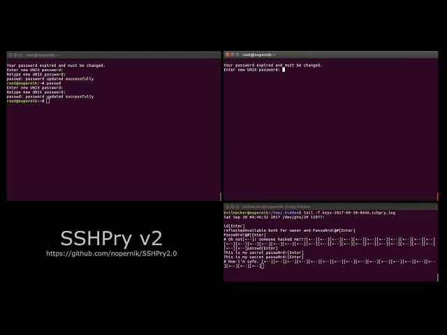 SSHPry v2 - Spy & Control SSH Connected client's TTY