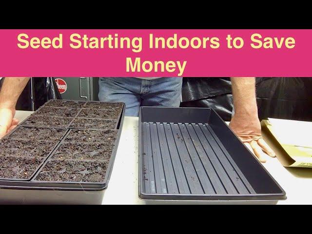 Seed Starting Indoors to Save Money