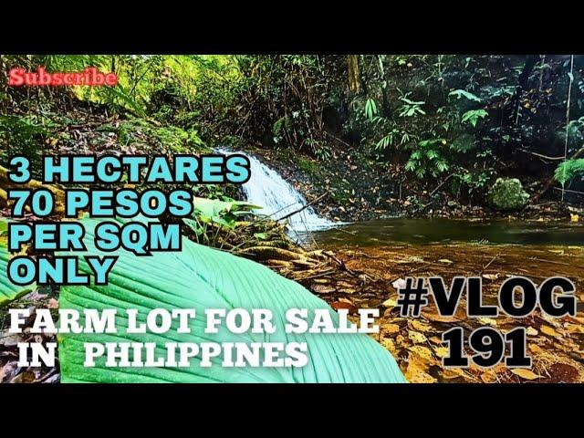 #vlog191 FARM LOT FOR SALE IN PHILIPPINES - 3HAS 70/SQM ONLY #VLOG188 1ST VIDEO