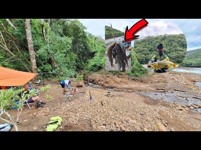 Acampamento Raiz e Muito Jundiá Grande a Noite| Amanheceu e a Lida foi Bruta! pesca.