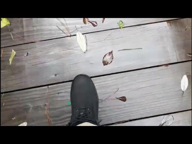 Funny Slip on a Slippery Bridge: Comical Rainy Day Mishap || WooGlobe