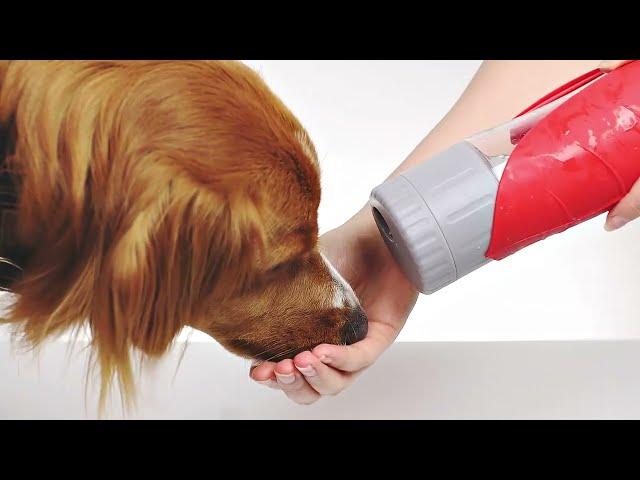 EzyDog Leaf Bottle Pro - Dog Water Bottle