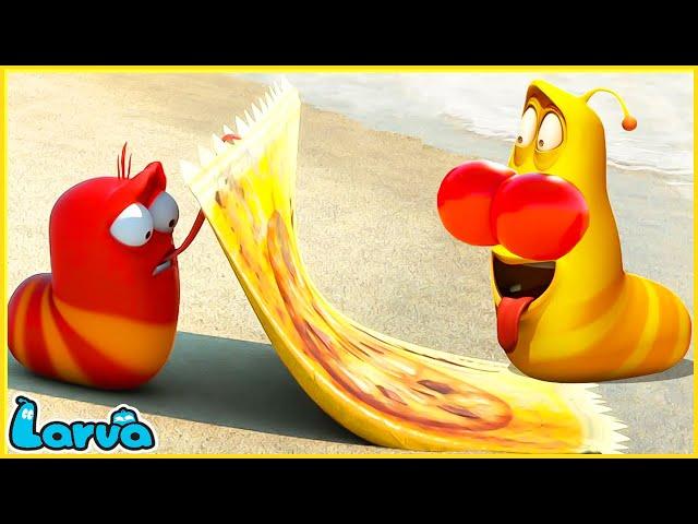 LARVA | HIDE AND SEEK | CARTOON MOVIE FOR LIFE |THE BEST OF CARTOON | HILARIOUS CARTOON COMPILATION