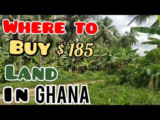 Cheapest Lands For Building And Farming In Ghana, Africa?  Twifo Nyinase | Picabolo  Tv Gh