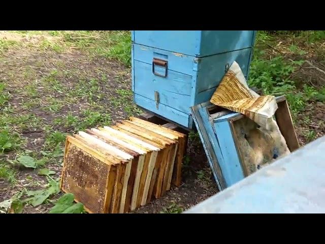 Установка 2 корпуса на улей Дадана